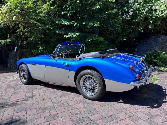 Austin-Healey 3000 Mk III (BJ8)