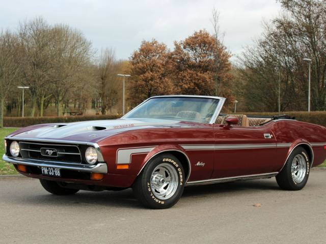 Bild 1/21 von Ford Mustang 351 (1972)