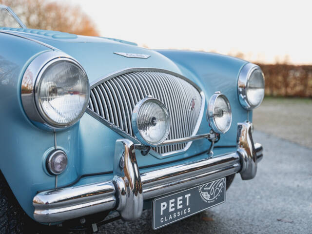 Austin-Healey 100/4 (BN1)