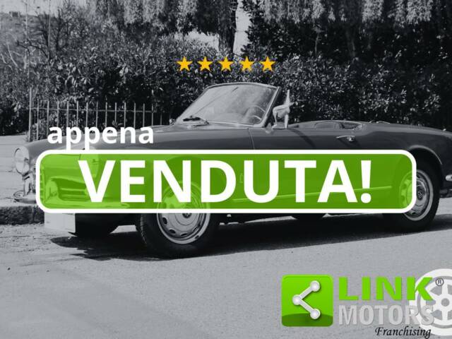 Afbeelding 1/10 van Alfa Romeo Giulietta Spider (1961)