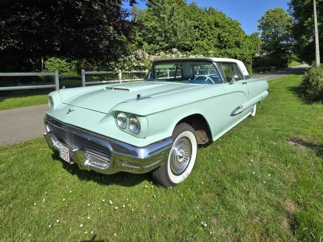 Afbeelding 1/5 van Ford Thunderbird (1959)