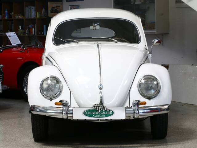 Volkswagen Beetle 1200 Export "Oval"