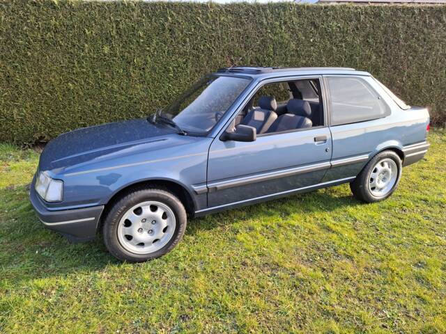 Image 1/27 of Peugeot 309 (1990)
