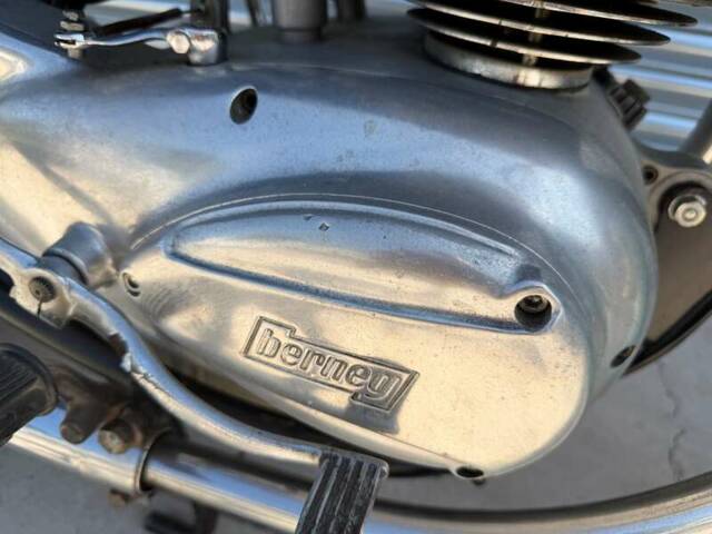 Berneg Fario 175