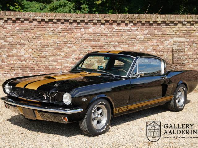 Image 1/50 de Ford Shelby GT 350 (1965)