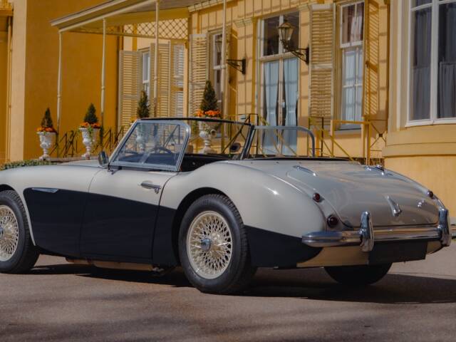 Austin-Healey 100/6 (BN4)