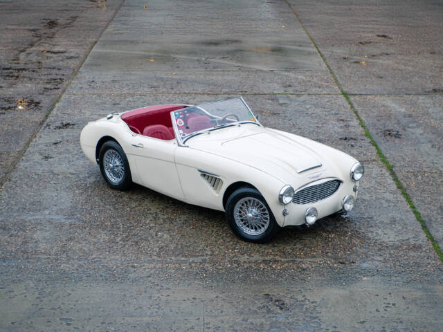 Bild 1/22 von Austin-Healey 100/6 (BN4) (1957)