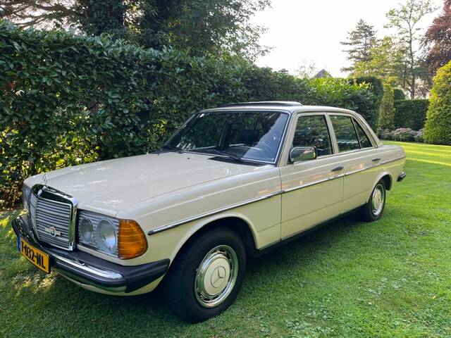 Image 1/23 de Mercedes-Benz 230 E (1981)