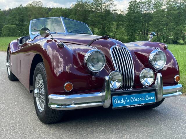 Image 1/42 of Jaguar XK 140 OTS (1955)