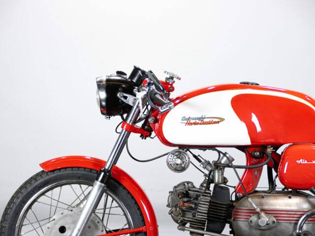 Aermacchi Ala Verde