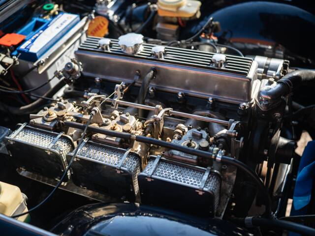 Triumph TR 250