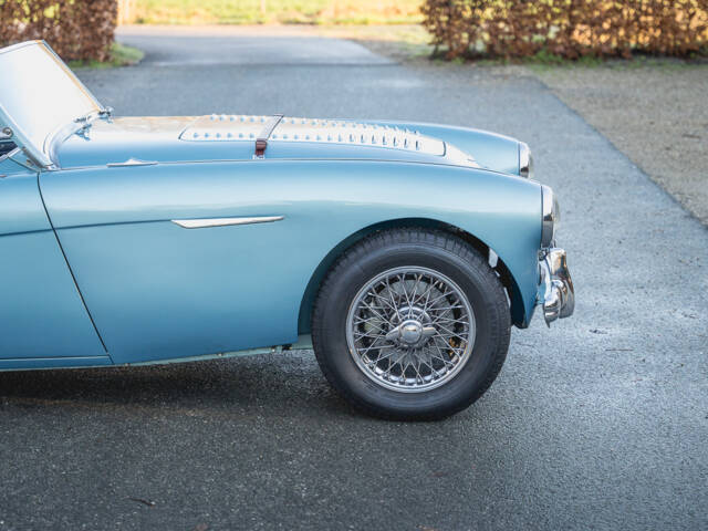 Austin-Healey 100/4 (BN1)