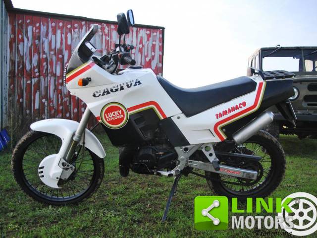 Imagen 1/9 de Cagiva DUMMY (1989)