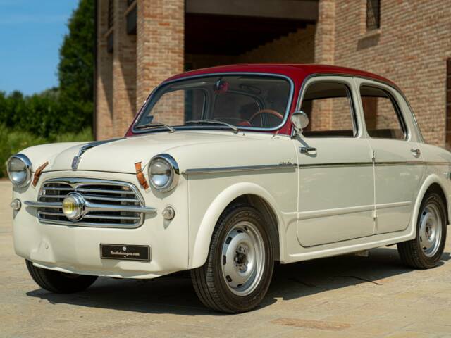 Bild 1/50 von FIAT 1100-103 TV (1956)