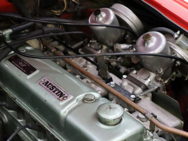 Austin-Healey 3000 Mk III (BJ8)