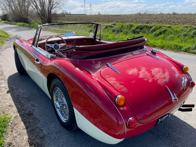 Austin-Healey 3000 Mk III (BJ8)