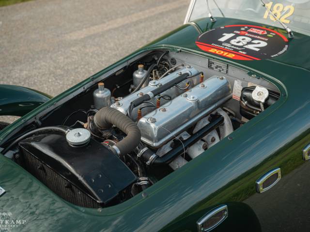 Healey Silverstone