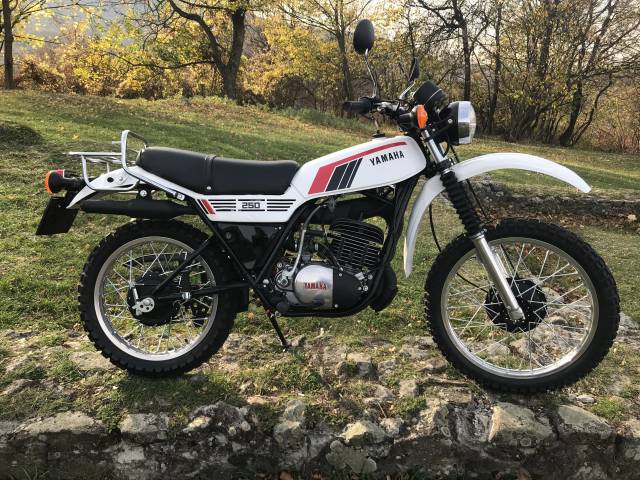 Image 1/23 of Yamaha DUMMY (1979)