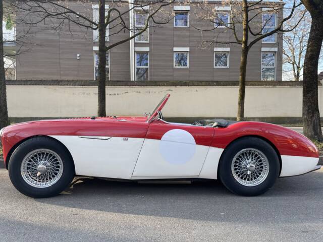 Austin-Healey 100/4 (BN1)