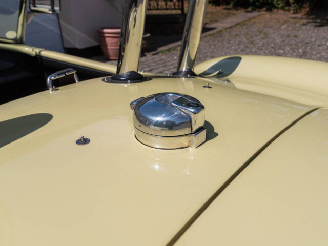 AC Cobra 289