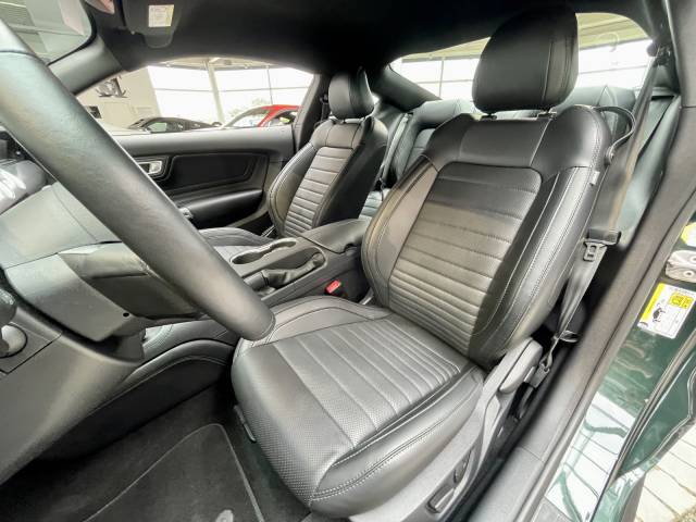 Ford Mustang GT 5.0