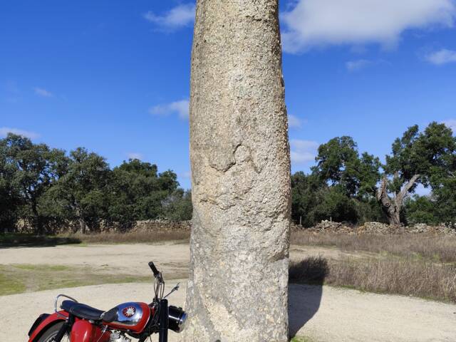 BSA B 44