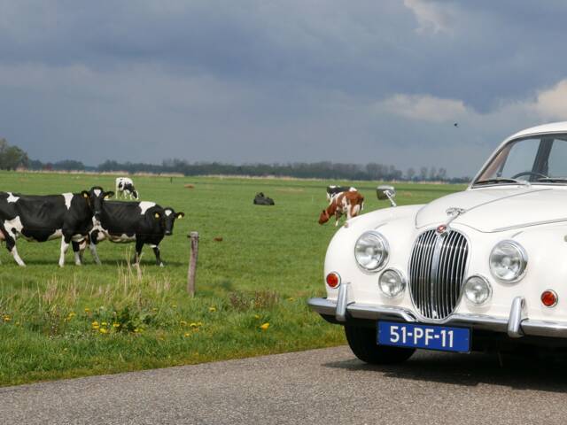 Jaguar 240