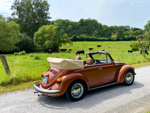 Volkswagen Beetle 1303