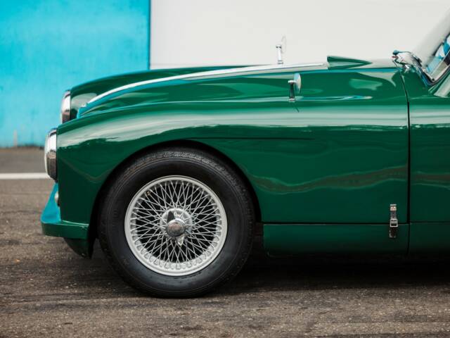 Aston Martin DB 2/4 Mk I