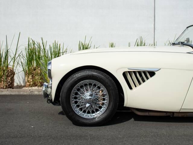 Austin-Healey 100/6 (BN4)