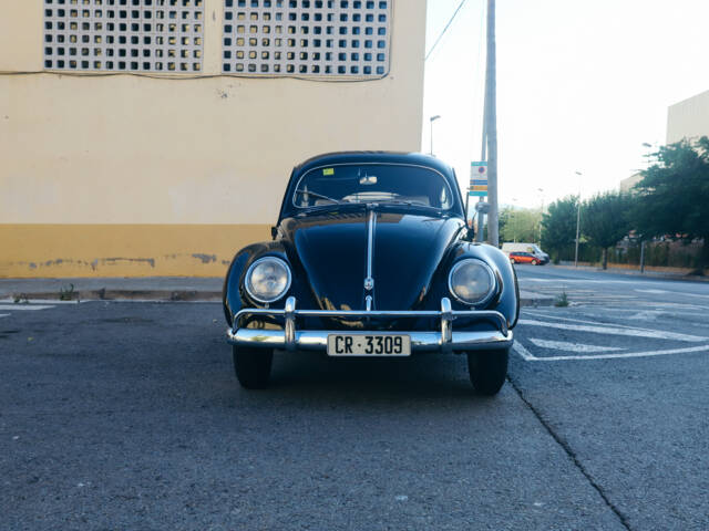 Imagen 1/130 de Volkswagen Beetle 1200 Export &quot;Oval&quot; (1954)