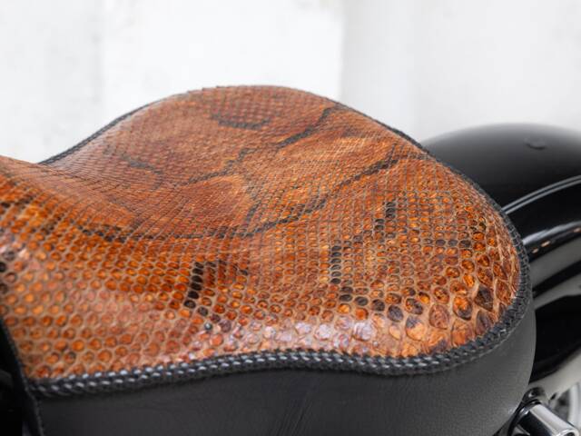 Harley-Davidson XL 1200 C Sportster Custom