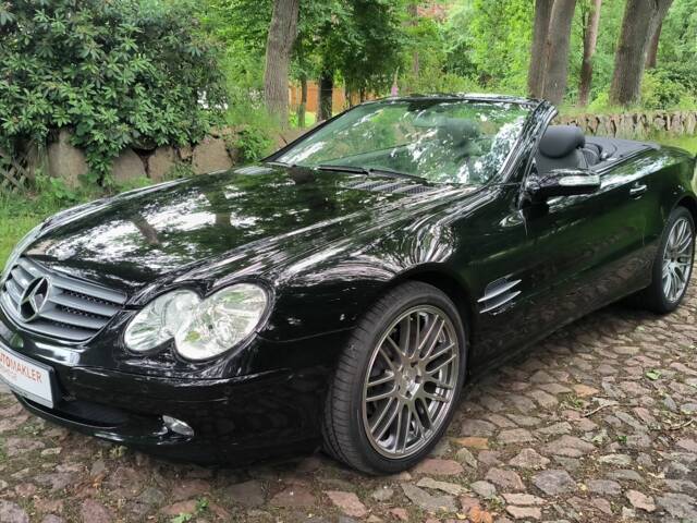 Afbeelding 1/58 van Mercedes-Benz SL 350 (2005)