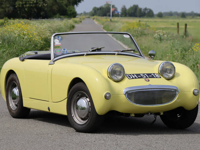 Image 1/50 of Austin-Healey Sprite Mk I (1959)