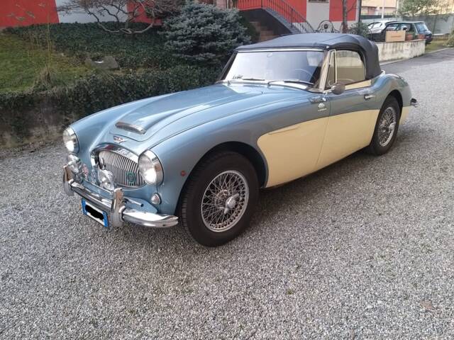 Imagen 1/14 de Austin-Healey 3000 Mk II (BJ7) (1963)