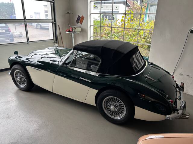 Austin-Healey 3000 Mk II (BJ7)