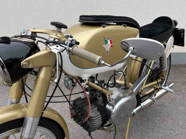 Rumi Junior Gentleman 125