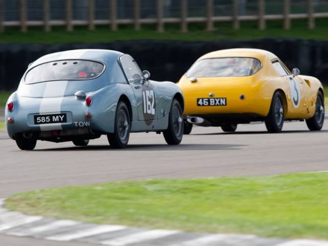 Speedwell GT