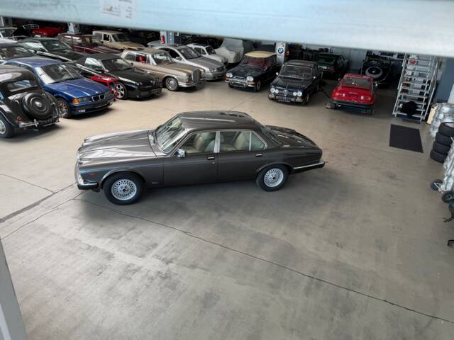 Jaguar XJ 12