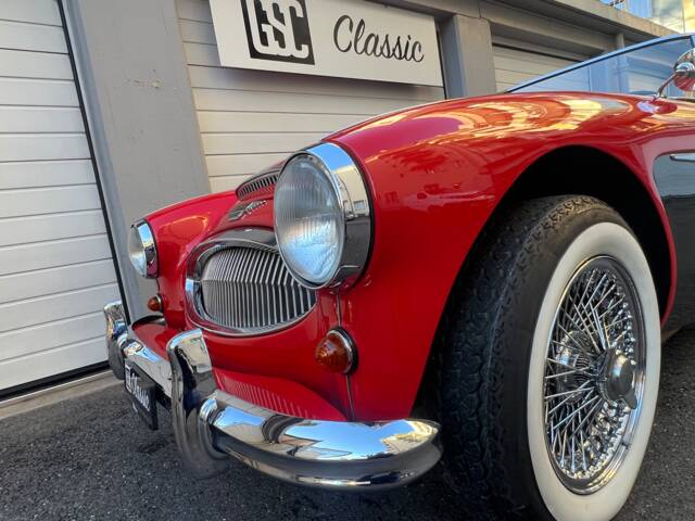 Austin-Healey 3000 Mk III (BJ8)