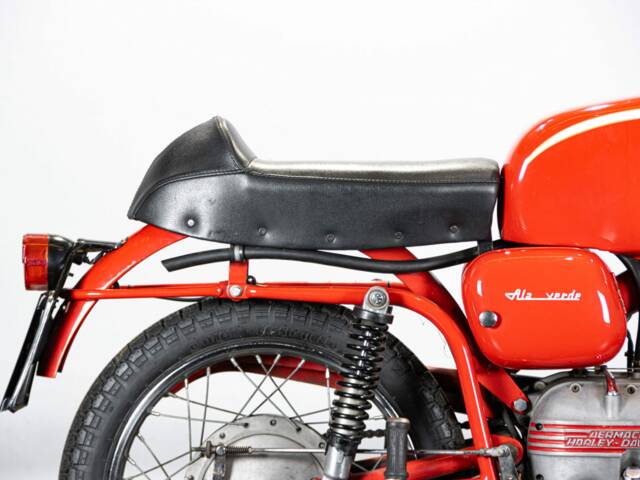 Aermacchi Ala Verde