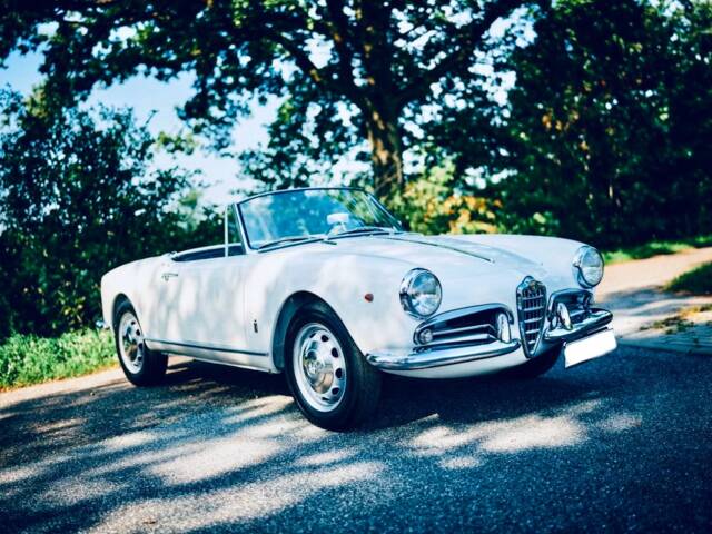 Immagine 1/12 di Alfa Romeo Giulietta Spider (1961)