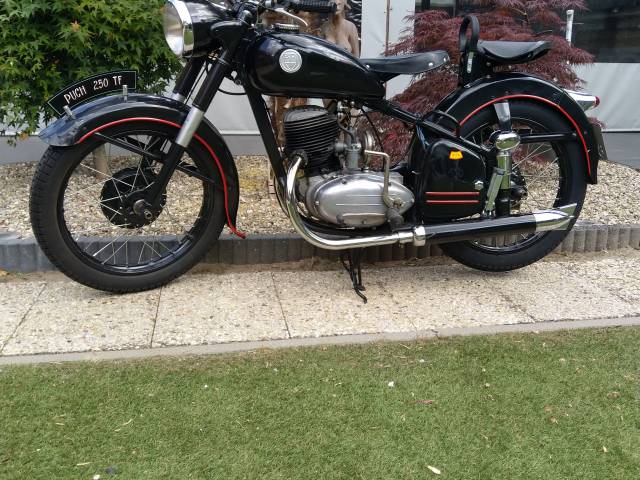 Bild 1/24 von Puch DUMMY (1953)