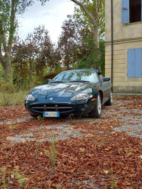 Imagen 1/41 de Jaguar XK8 4.0 (1998)