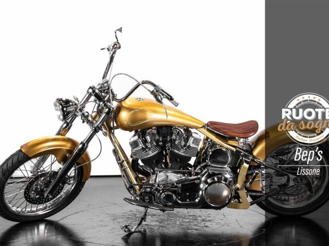 Bild 1/38 von Harley-Davidson DUMMY (2009)