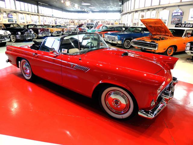 Immagine 1/16 di Ford Thunderbird (1955)