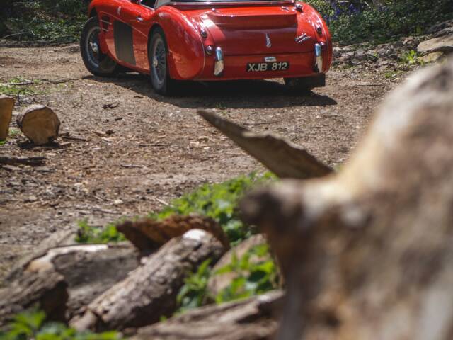 Austin-Healey 3000 Mk I (BT7)