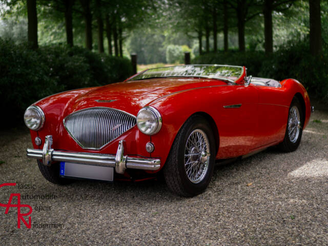 Austin-Healey 100/4 (BN2)