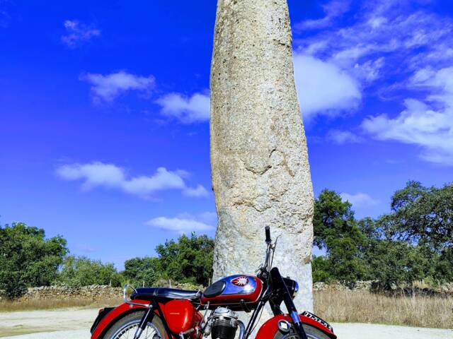 BSA B 44