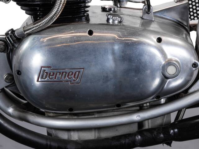 Berneg Fario 175